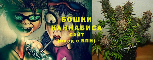 ECSTASY Дмитриев