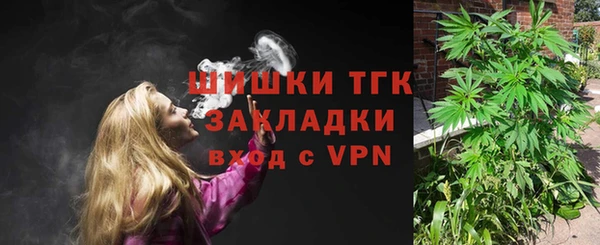ECSTASY Дмитриев