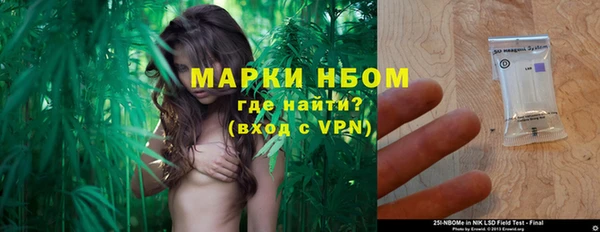 стаф Гусь-Хрустальный